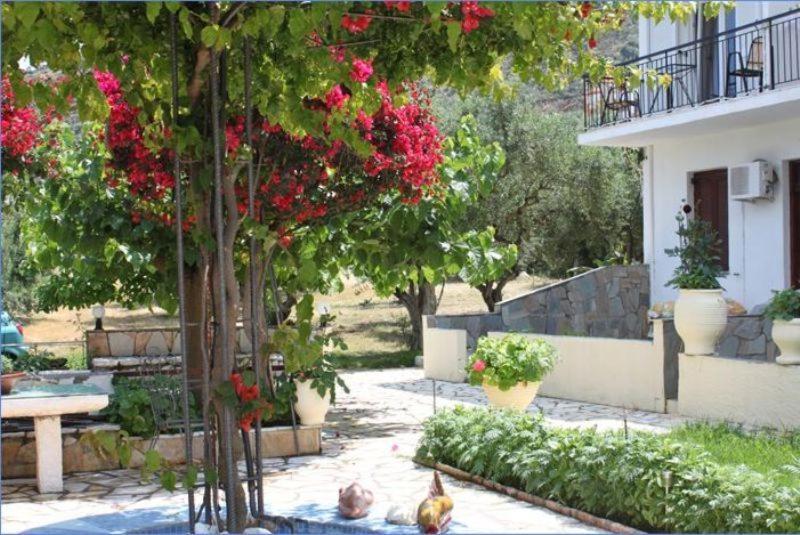 Ballas Apartments Agia Efimia Buitenkant foto